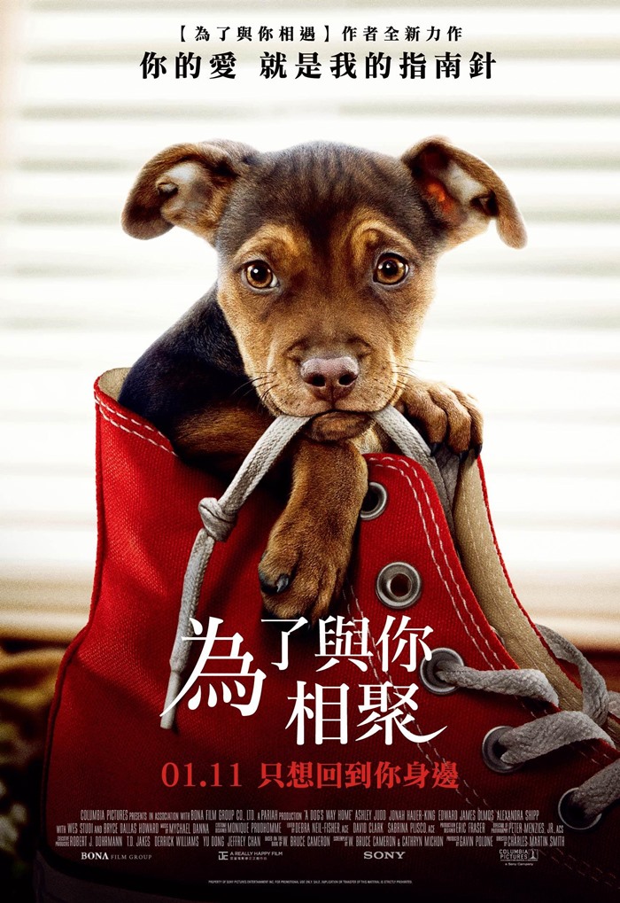 為了與你相聚 為了與你相聚