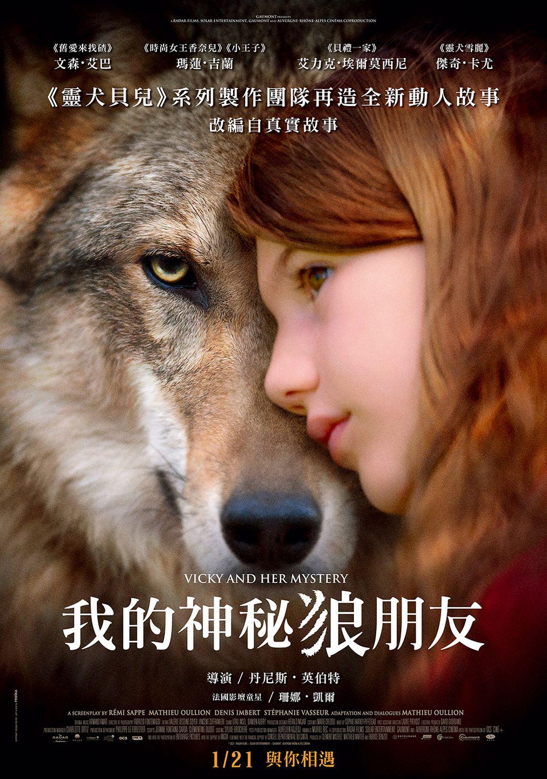 我的神秘狼朋友 我的神秘狼朋友