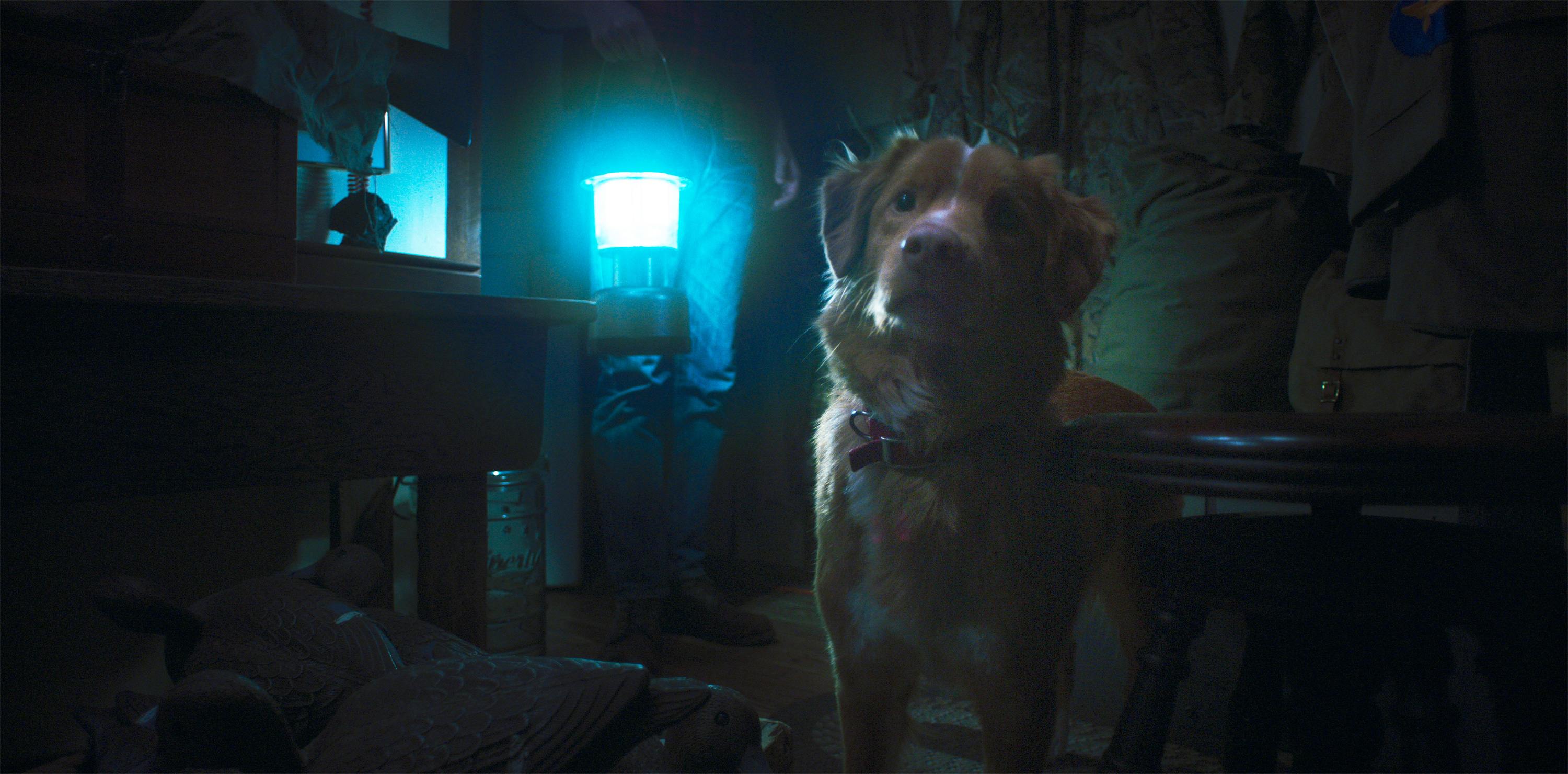 《乖狗狗》Good Boy