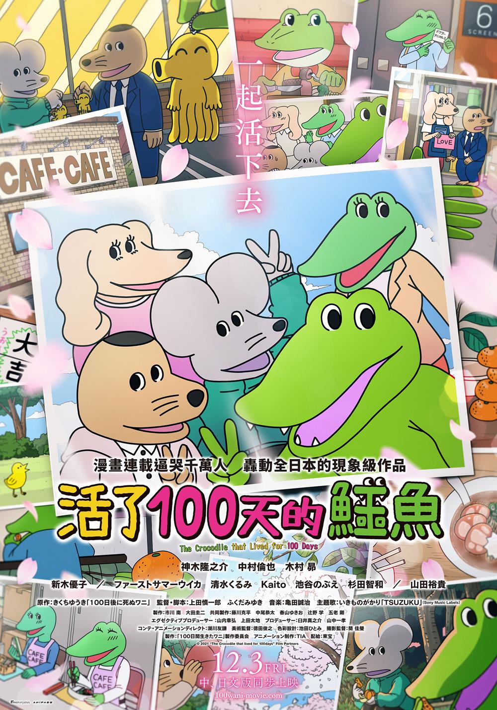 活了100天的鱷魚 活了100天的鱷魚
