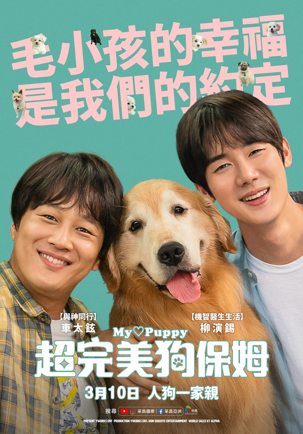 超完美狗保姆 超完美狗保姆