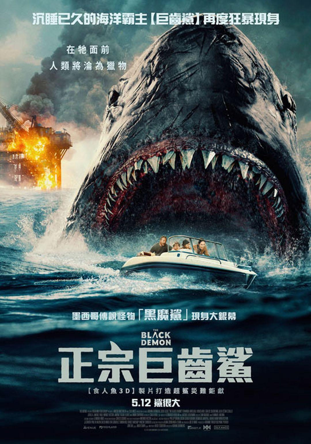 正宗巨齒鯊 正宗巨齒鯊